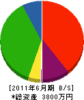 竹部工業 貸借対照表 2011年6月期