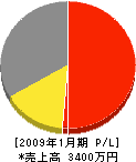 稲垣電機商会 損益計算書 2009年1月期