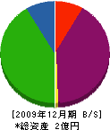 古道工業所 貸借対照表 2009年12月期