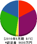 早川工務店 貸借対照表 2010年6月期