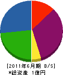 福井デリカ 貸借対照表 2011年6月期