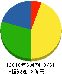 長井電機 貸借対照表 2010年6月期