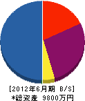 横瀬建設 貸借対照表 2012年6月期