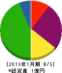 安田クリーン産業 貸借対照表 2013年1月期