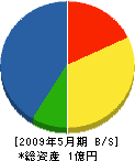 田中電業社 貸借対照表 2009年5月期