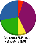 中川電気設備 貸借対照表 2012年4月期
