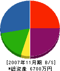 池田組 貸借対照表 2007年11月期