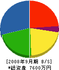 田中設備工業 貸借対照表 2008年9月期
