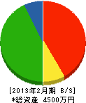 渡辺建工 貸借対照表 2013年2月期