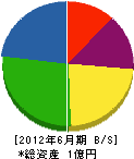 松岡電気商会 貸借対照表 2012年6月期