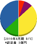 三栄商事 貸借対照表 2010年4月期