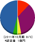 三欣 貸借対照表 2011年10月期
