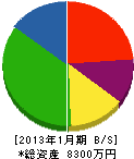 日本海広告 貸借対照表 2013年1月期