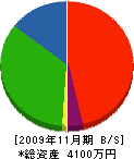 ホソヌマ 貸借対照表 2009年11月期