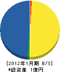 日本消毒 貸借対照表 2012年1月期