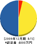 野澤造園 貸借対照表 2009年12月期