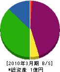 新川 貸借対照表 2010年3月期