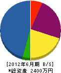 佐賀畳工業 貸借対照表 2012年6月期