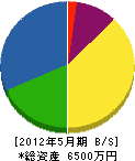 松本企業 貸借対照表 2012年5月期