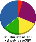 内田電気 貸借対照表 2008年12月期