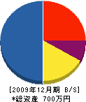 中野電気 貸借対照表 2009年12月期