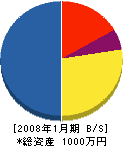 柳澤商事 貸借対照表 2008年1月期