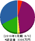 齋藤電気 貸借対照表 2010年3月期