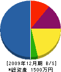 坂永造園 貸借対照表 2009年12月期