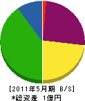 大江建設 貸借対照表 2011年5月期