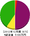 小俣組 貸借対照表 2012年12月期