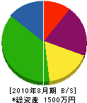 斎藤総業 貸借対照表 2010年8月期