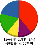 鈴木土建 貸借対照表 2008年12月期