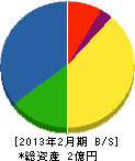 飯田ボイラー 貸借対照表 2013年2月期