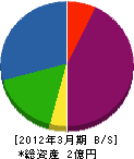 相川精機 貸借対照表 2012年3月期
