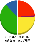 飯泉工業 貸借対照表 2011年10月期