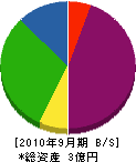 能田電気工業 貸借対照表 2010年9月期