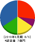 元田工務店 貸借対照表 2010年6月期