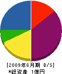長江水道 貸借対照表 2009年6月期
