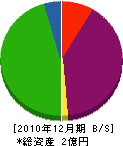 斑鳩産業 貸借対照表 2010年12月期
