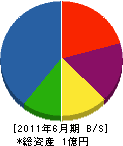 宮崎組 貸借対照表 2011年6月期