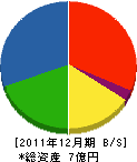 椙岡組 貸借対照表 2011年12月期