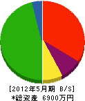 木村塗装工業 貸借対照表 2012年5月期