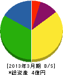 錦衛生舎 貸借対照表 2013年3月期