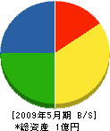 渡辺工業所 貸借対照表 2009年5月期