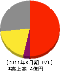 日本カリュウ 損益計算書 2011年6月期