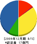 橋本建設工業 貸借対照表 2009年12月期