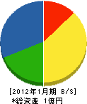 静岡ニッタン 貸借対照表 2012年1月期