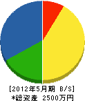 昭電工事エンジニアリング 貸借対照表 2012年5月期