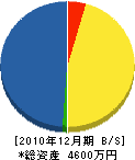 石沢工務店 貸借対照表 2010年12月期