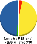 山田電機 貸借対照表 2012年9月期